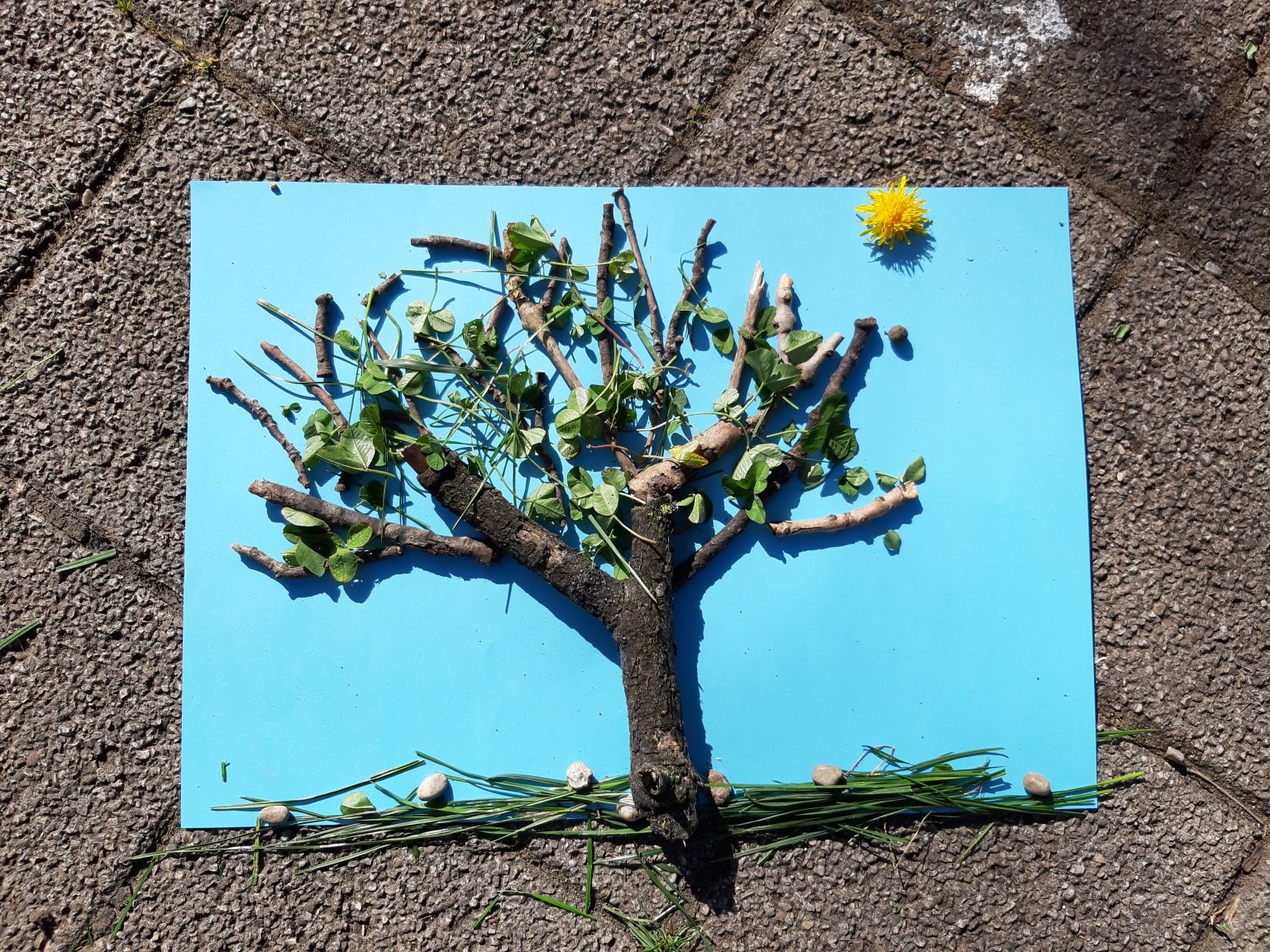 Landart Klasse 1/2a – Grundschule Raisting